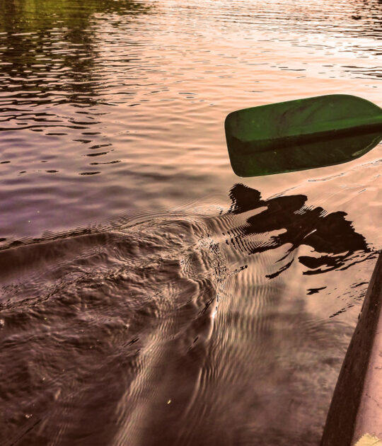 Agroturystyka "Zacisze" Praczka - spływy kajakowe pilica